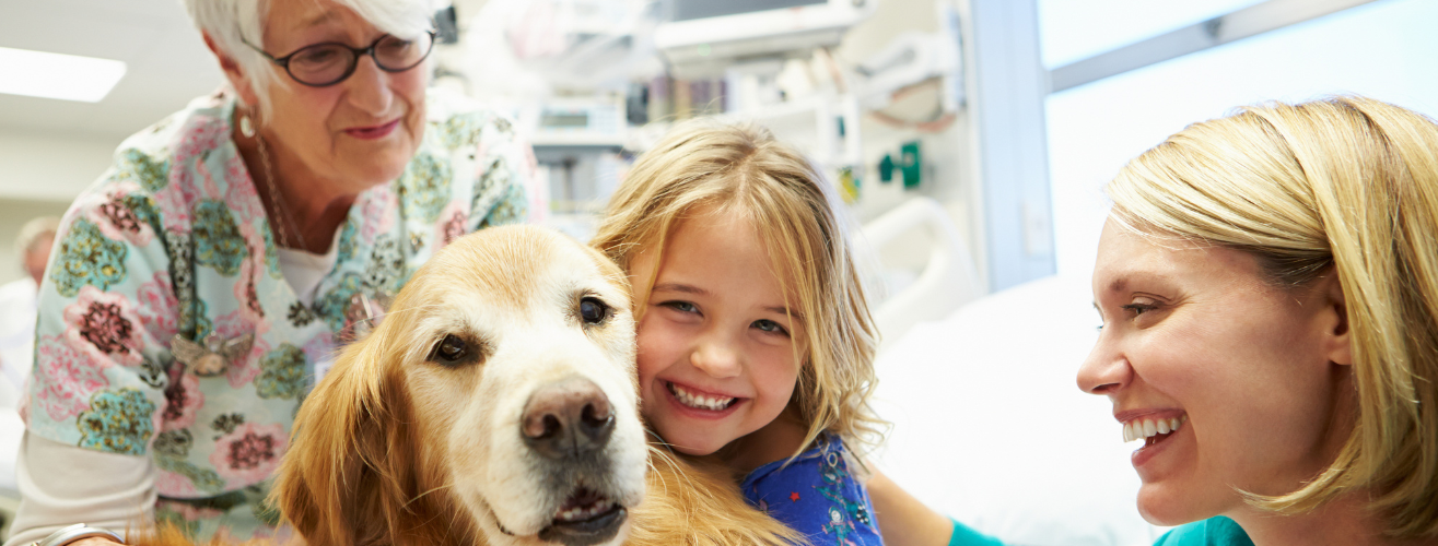 Ketika Sentuhan Hewan Menyembuhkan: Menyelami Keajaiban Animal-Assisted Therapy